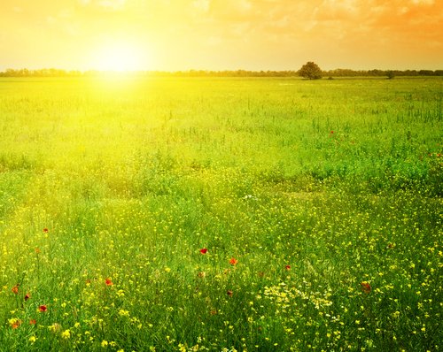 5 составляющих для хорошего утра